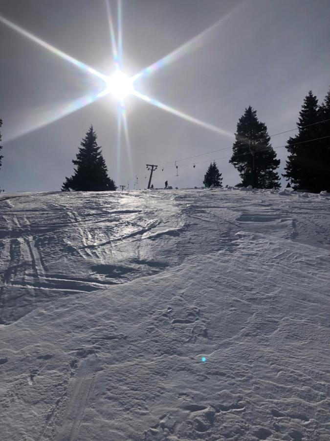 Apartmany U Vleku - Podkrovni Apartman Karlova Studanka Bagian luar foto