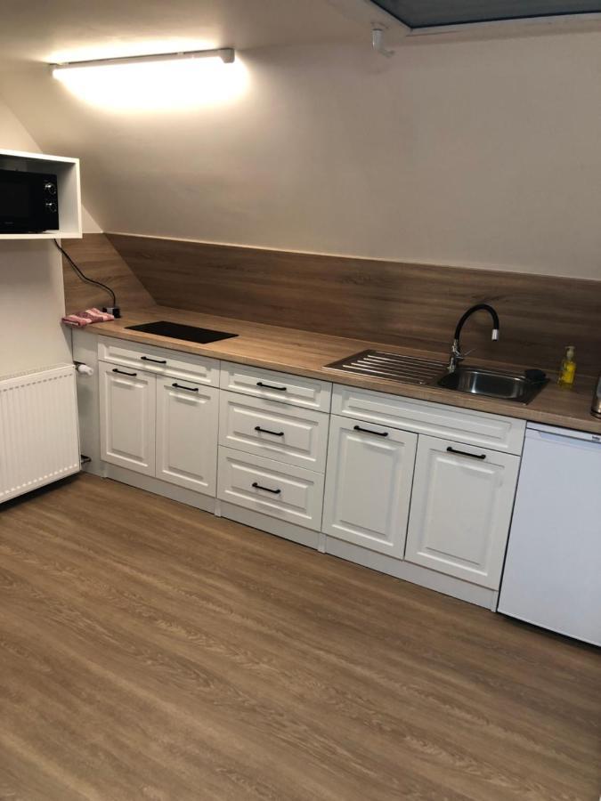 Apartmany U Vleku - Podkrovni Apartman Karlova Studanka Bagian luar foto
