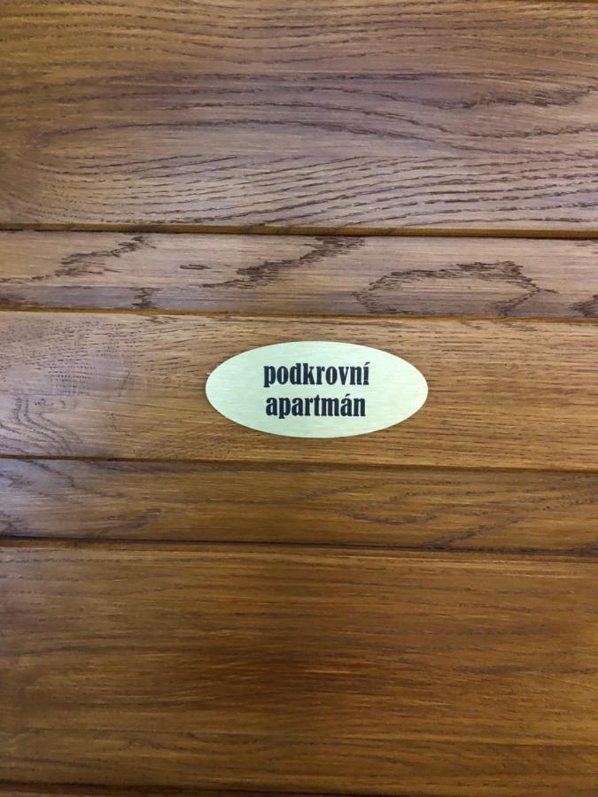 Apartmany U Vleku - Podkrovni Apartman Karlova Studanka Bagian luar foto