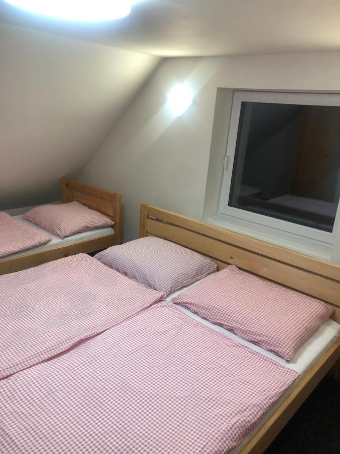 Apartmany U Vleku - Podkrovni Apartman Karlova Studanka Bagian luar foto